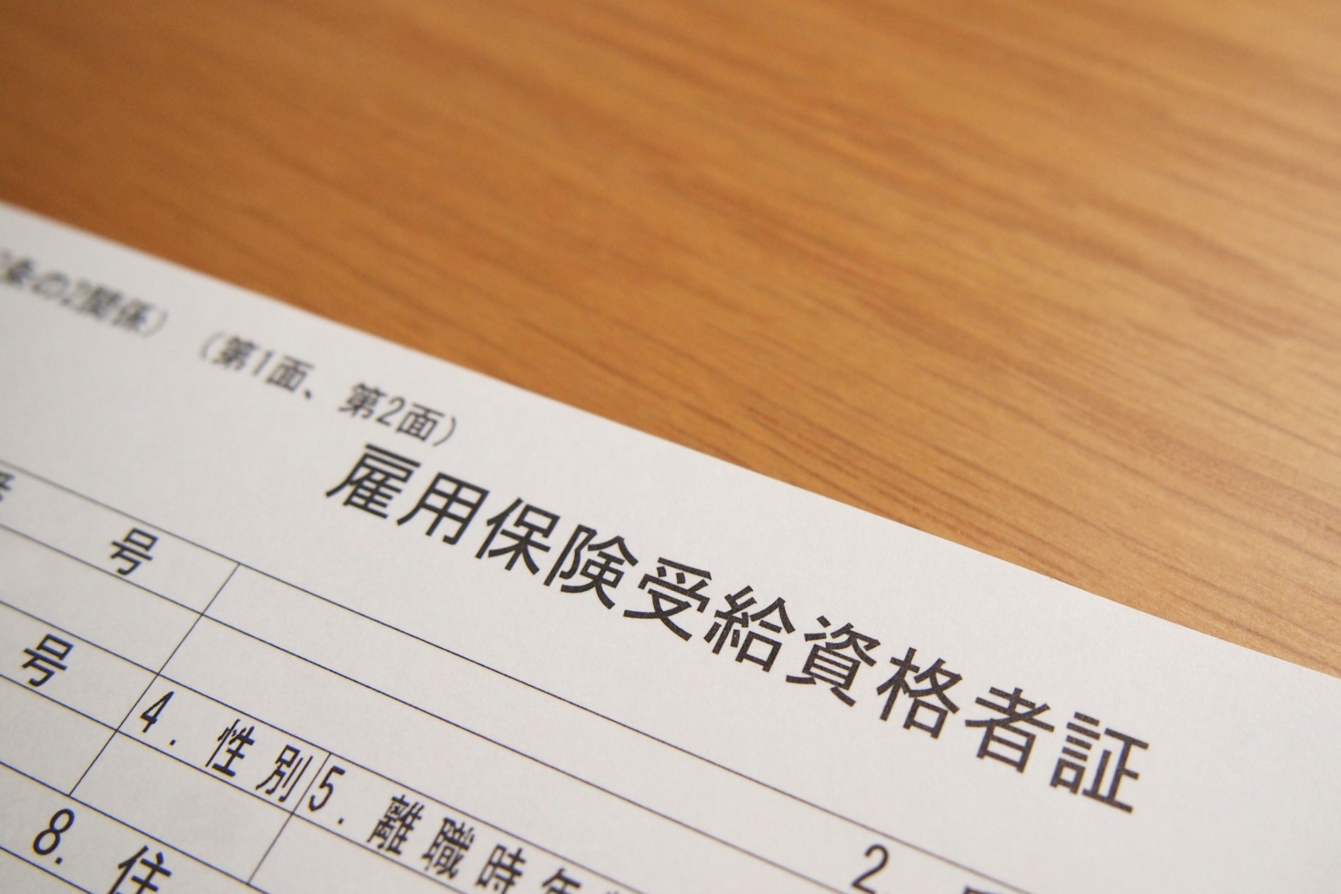 雇用保険被保険者証とは？ もらっていない場合の再発行方法も解説