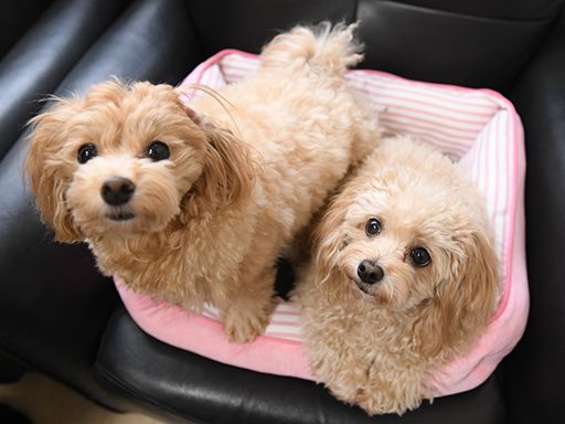 株式会社　清光ライン