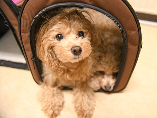 株式会社　清光ライン