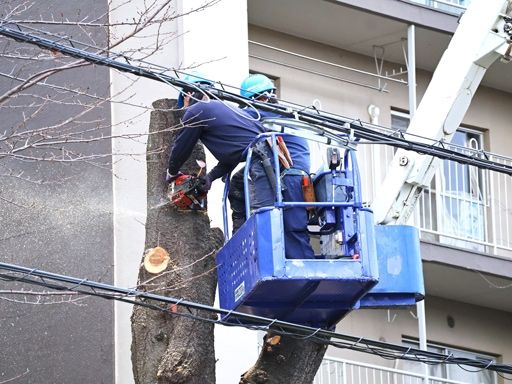 株式会社齊藤造園土木
