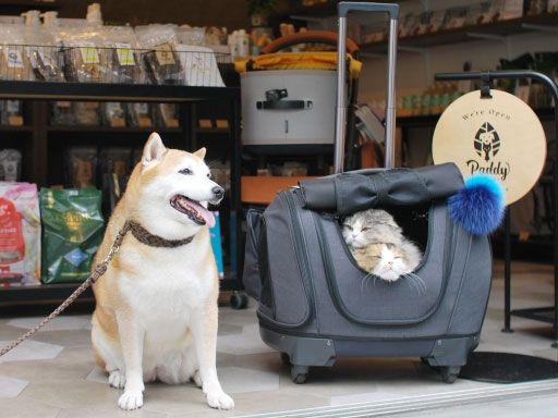 株式会社　スタンダード