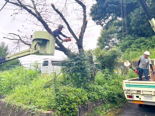 株式会社秋川緑化