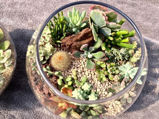 【植物の手入れ・出荷作業スタッフ】女性活躍中◆未経験歓迎
