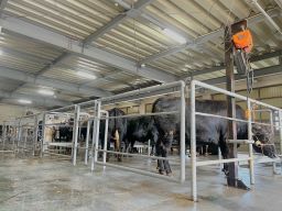 【と畜場での食肉加工業務全般】未経験歓迎◆経験者優遇