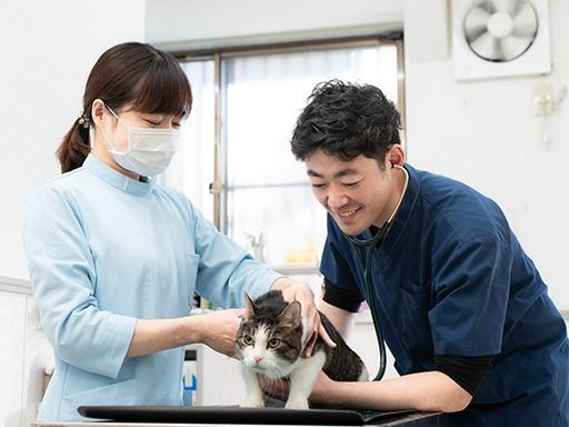 加藤動物病院