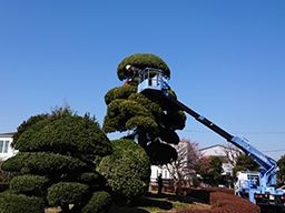 株式会社成三