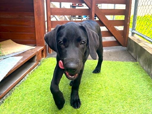 株式会社MITAKE　福岡物流センター