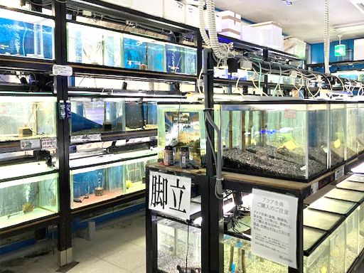 アクア＆ペット かねだい八千代店