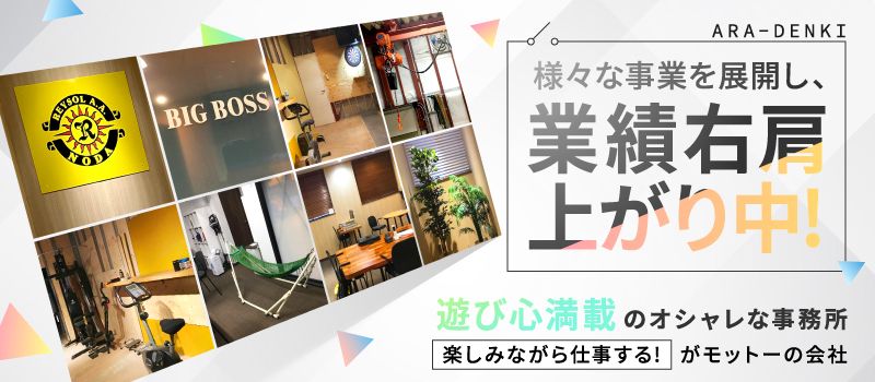 有限会社アラ電気