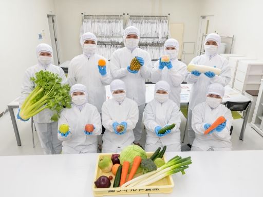現場作業員募集開始