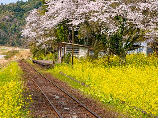 株式会社クリエイト　派遣・紹介事業部