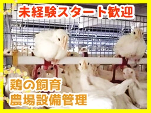 トップ卵ファーム　株式会社