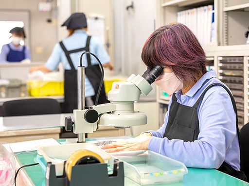 株式会社マイスター