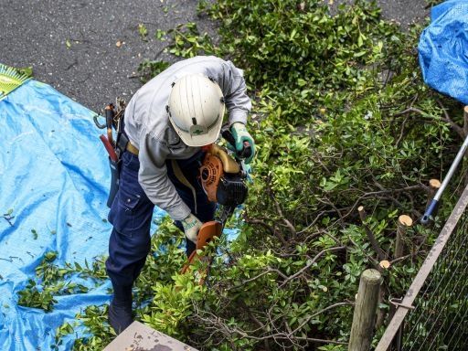 有限会社宇佐見造園