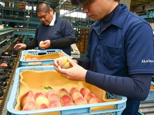 未経験OK＊充実の研修制度で安心◎賞与年3回｜手当充実｜資格取得支援｜20代～50代が活躍中☆ 農協の総合職